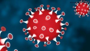 Koronavirüs salgınında vaka sayısı 6 bin 670'e ulaştı (7 Şubat 2021) 