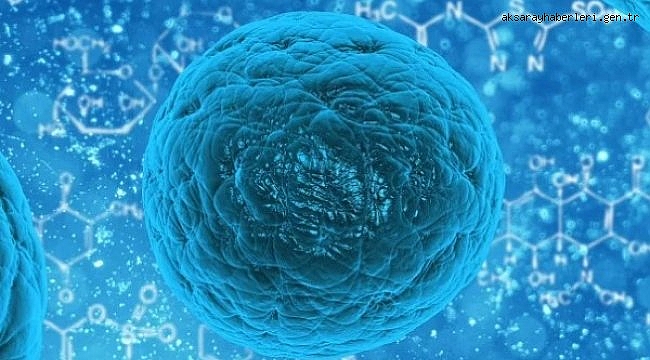 Koronavirüs salgınında vaka sayısı 7 bin 945'e ulaştı (15 Şubat 2021)