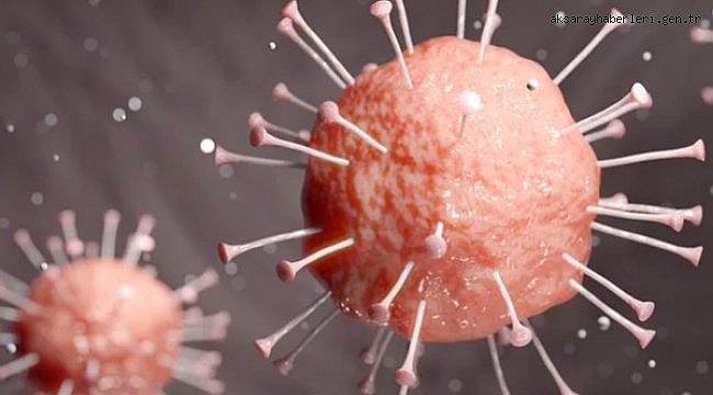 Koronavirüs salgınında vaka sayısı 8 bin 636'ya ulaştı