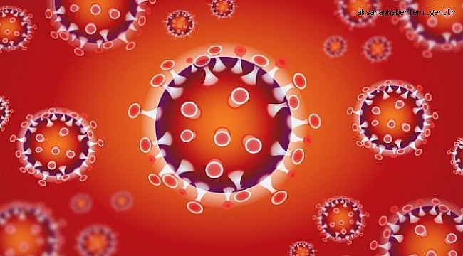 Koronavirüs salgınında vaka sayısı 21 bin 030'a ulaştı