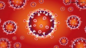 Koronavirüs salgınında vaka sayısı 21 bin 030'a ulaştı