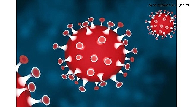 Koronavirüs salgınında vaka sayısı 18 bin 052'ye ulaştı