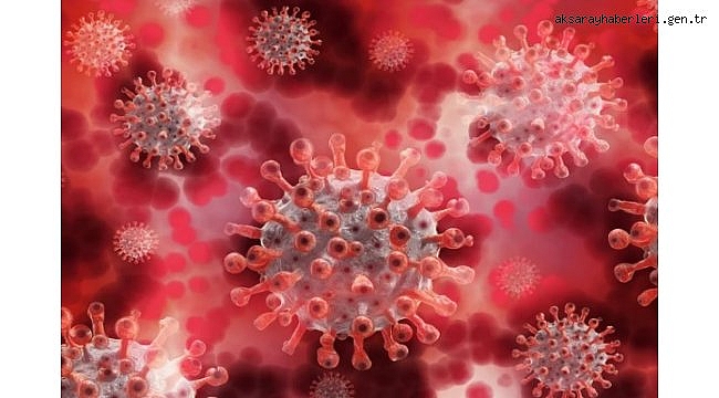 Koronavirüs salgınında vaka sayısı 20 bin 107'ye ulaştı