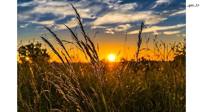 Tarım ürünleri üretici fiyat endeksi (Tarım-ÜFE) yıllık %21,77 arttı, aylık %0,79 azaldı