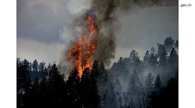 Marmaris'teki orman yangınında 1 personel şehit oldu