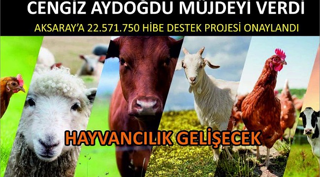 AKSARAY'DA HAYVANCILIĞIN GELECEĞİ İÇİN ÖNEMLİ ADIM 257 HİBE PROJESİ KABUL EDİLDİ 