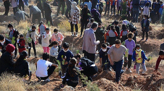 Aksaray'ın il oluşu 32 bin fidan dikimi ile kutlandı 