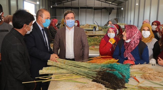 YABANİ BİTKİ, KAMIŞ VE DİKENLER GEÇİM KAYNAKLARI OLDU 