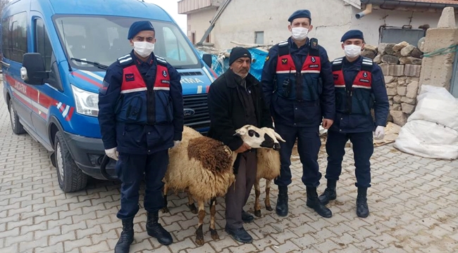 AKSARAY ALAYHAN KÖYÜNDE KÜÇÜKBAŞ HAYVAN HIRSIZLARINI JANDARMA YAKALADI