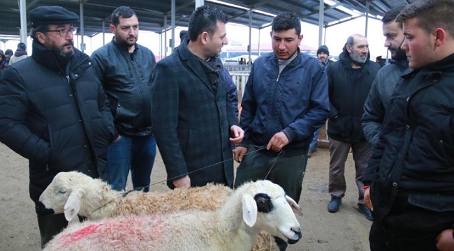 AKSARAY HAYVAN PAZARINDA ÜRETİCİ İSYAN ETTİ "SÜT İNEKLERİMİZİ KESİME GÖNDERİYORUZ"