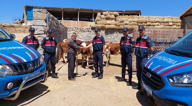 AKSARAY'DA 8 ADET BÜYÜKBAŞ HAYVAN ÇALAN 3 KİŞİ TUTUKLANDI