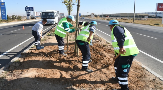 AKSARAY 200 BİN AĞAÇ HEDEFİNE DOĞRU İLERLİYOR
