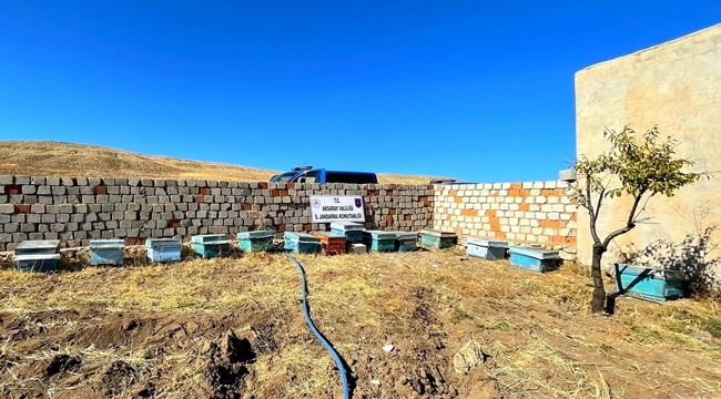 AKSARAY'DA ARI KOVANI ÇALAN ZANLI JANDARMA TARAFINDAN YAKALANDI