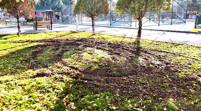 AKSARAY'DA YENİ ONARIM YAPILAN PARK İÇERİSİNDE DRİFT YAPILMASI TEPKİYLE KARŞILANDI