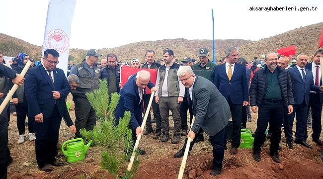 AKSARAY 100. YIL HATIRA ORMANINDA FİDANLAR TOPRAKLA BULUŞTU