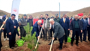 AKSARAY 100. YIL HATIRA ORMANINDA FİDANLAR TOPRAKLA BULUŞTU