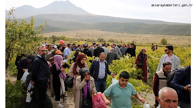 HASANDAĞI ETEKLERİNDE GELENEKSEL 2. BAĞ BOZUMU VE PEKMEZ FESTİVALİ GERÇEKLEŞTİRİLDİ 