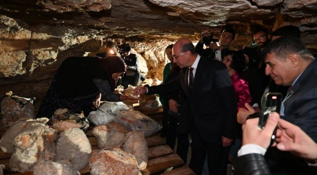 Konya'da Peynir tulumundan ilk hasat