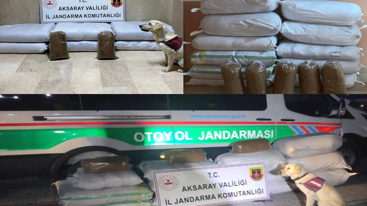Aksaray'da 790 kg Kaçak Tütün ele geçirildi