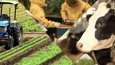 Çiftçiye 3,3 milyar TL'lik destek ödemeleri hesaplarda