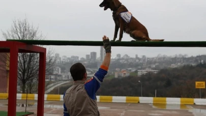 Köpekli Arama Timi Yönetmeliği yayımlandı