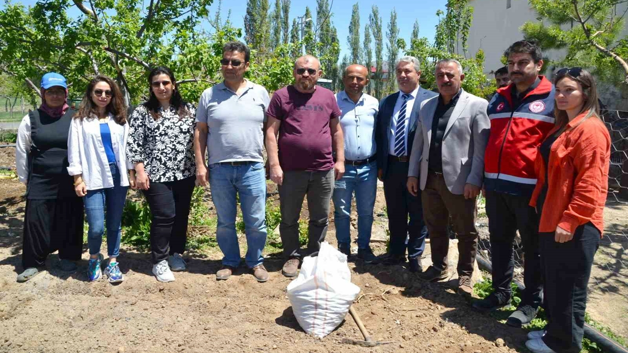 Niğde'de Salep üretimi yaygınlaştırılıyor