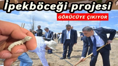 Ahi Tarımsal İpekböceği Projesi Bilim Şenliği'nde Tanıtılacak