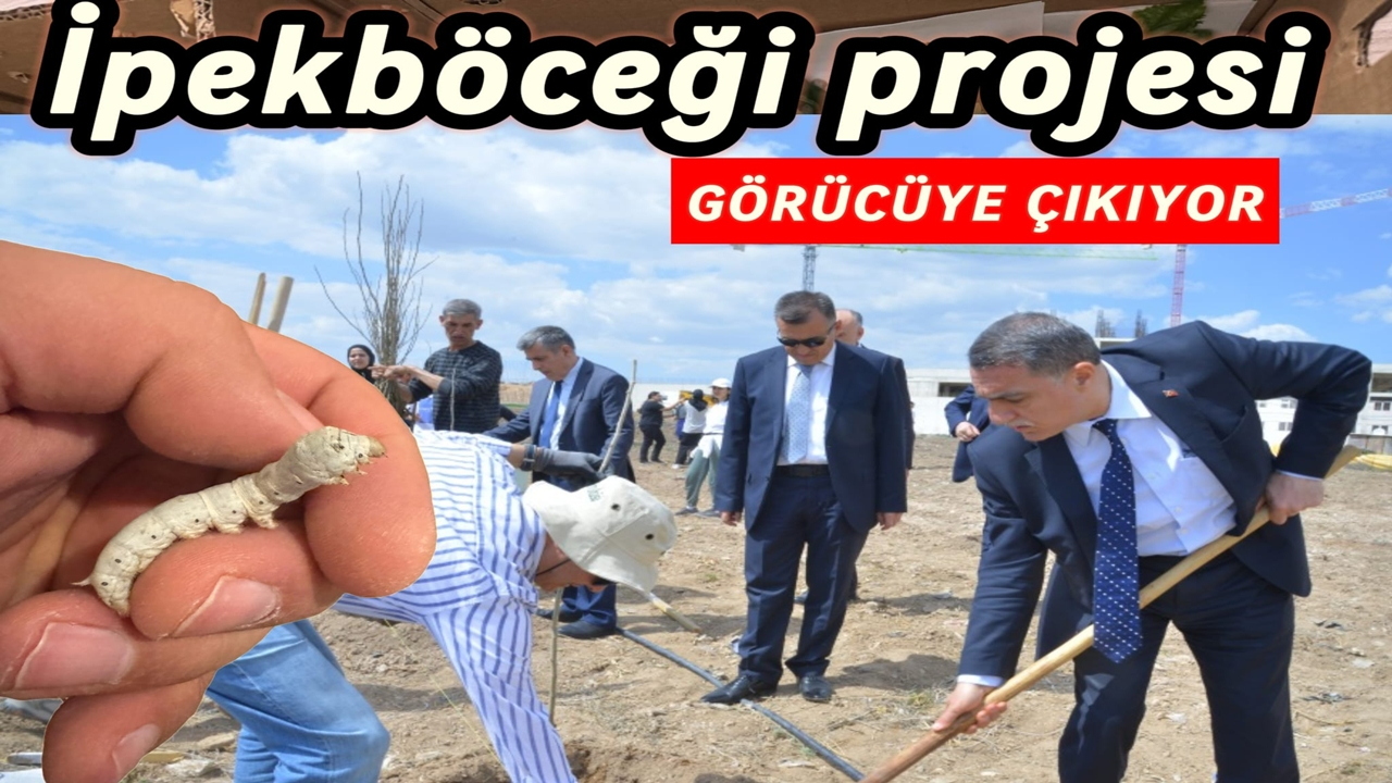 Ahi Tarımsal İpekböceği Projesi Bilim Şenliği'nde Tanıtılacak