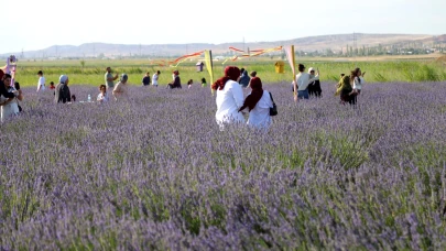 Lavanta Bahçesi Sezon Açılışı Ve Aşure Günü, Aksaray’da Coşkuyla Kutlanacak