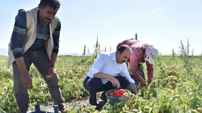 Konya’da 2026 için fidan ve fide desteği başvuruları başladı