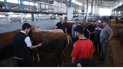 Türkiye genelinde Hayvan Pazarları İkinci Bir Emre Kadar Kapatıldı