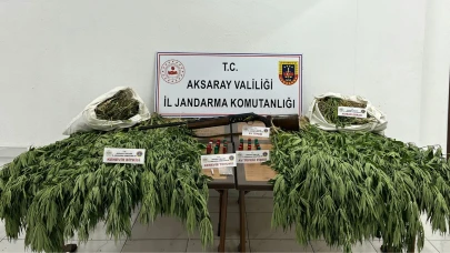 Sarıyahşi ilçesinde kaçak Kenevir eken 1 kişi yakalandı