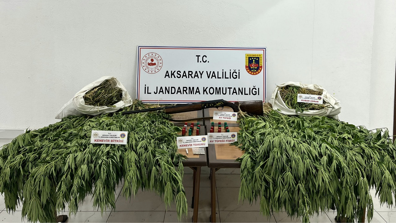 Sarıyahşi ilçesinde kaçak Kenevir eken 1 kişi yakalandı