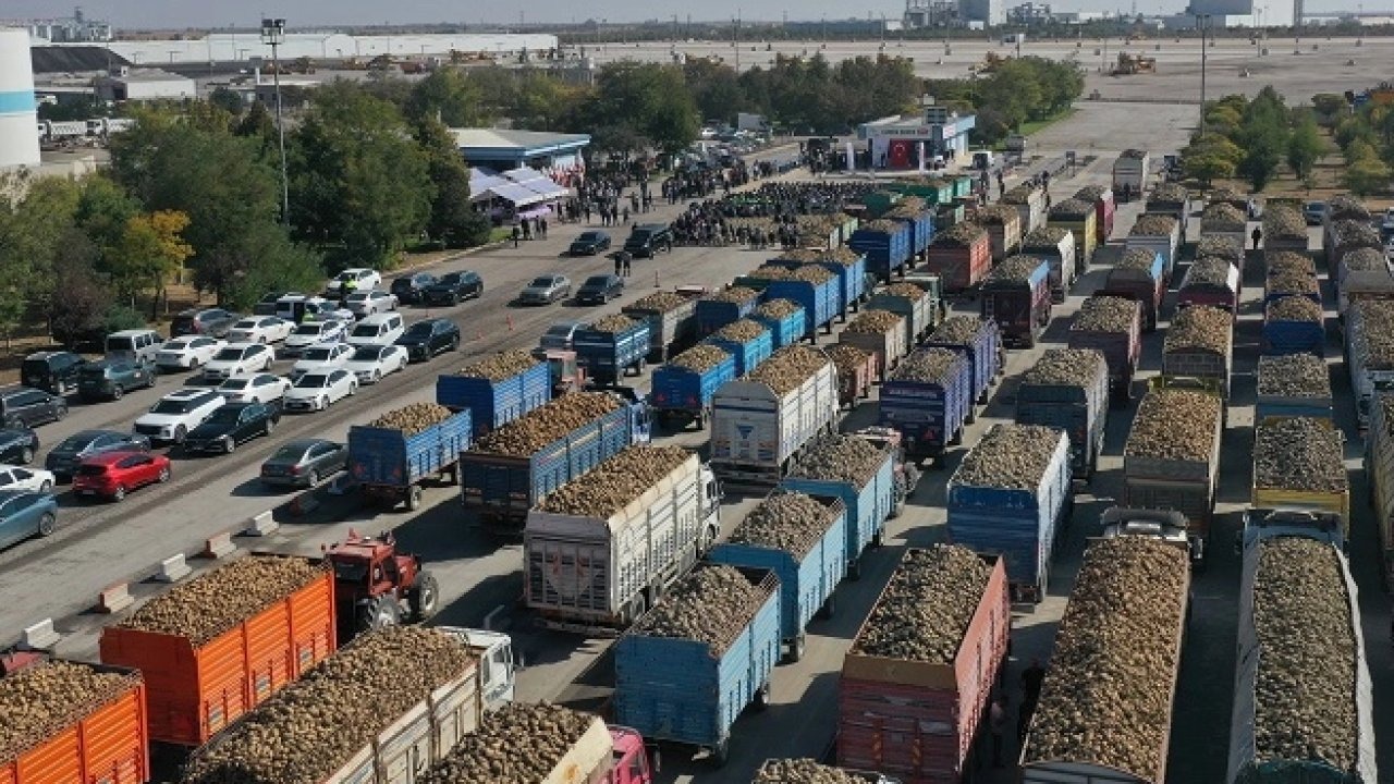 Konya ve Çumra fabrikaları pancar alımlarına başladı