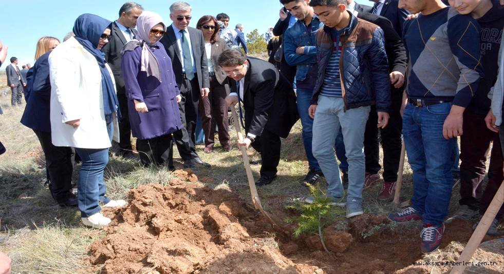 AKSARAY BELEDİYESİ’NDEN AĞAÇ DİKME ŞENLİĞİNE DAVET
