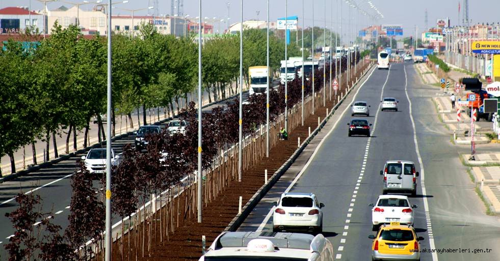 AKSARAY BELEDİYESİ ŞEHİR GİRİŞLERİNE ÖNEM VERİYOR