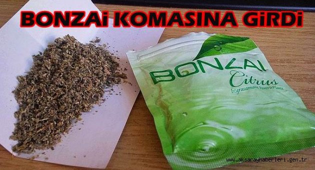 AKSARAY DA BİR GENÇ BONZAİ KOMASINA GİRDİ