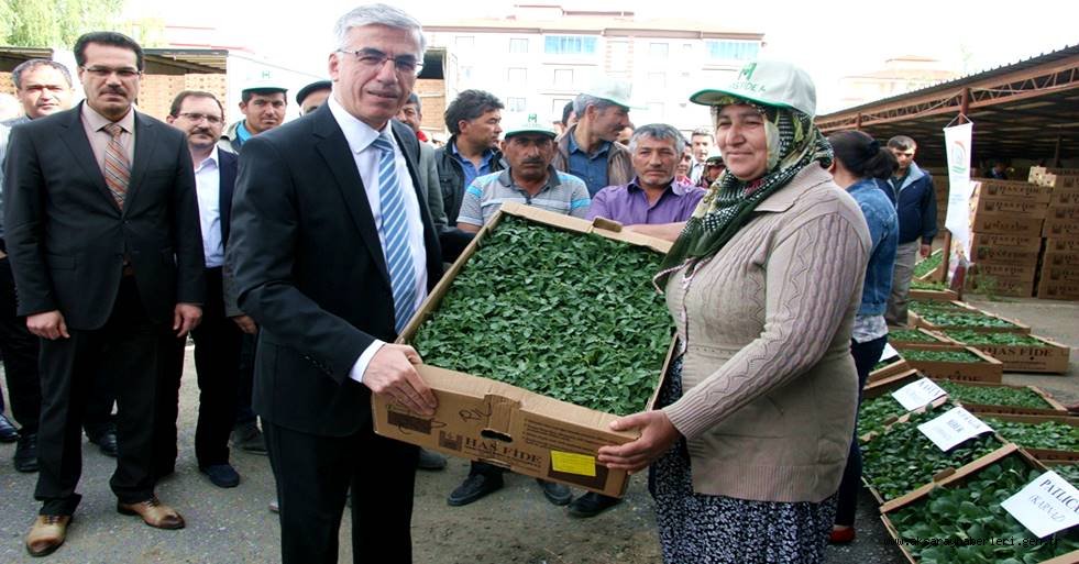 AKSARAY'IN SEBZE VE MEYVE ÜRETİMİNİ ARTTIRMAK İÇİN DESTEKLERİMİZ ARTARAK DEVAM EDECEK