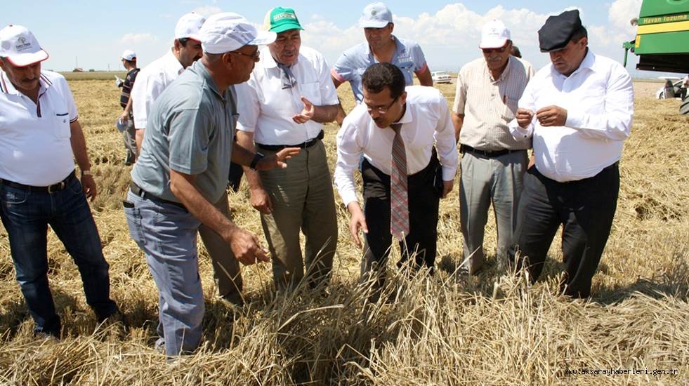 AKSARAY'DA BİÇERDÖVER KONTROLLERİ DEVAM EDİYOR