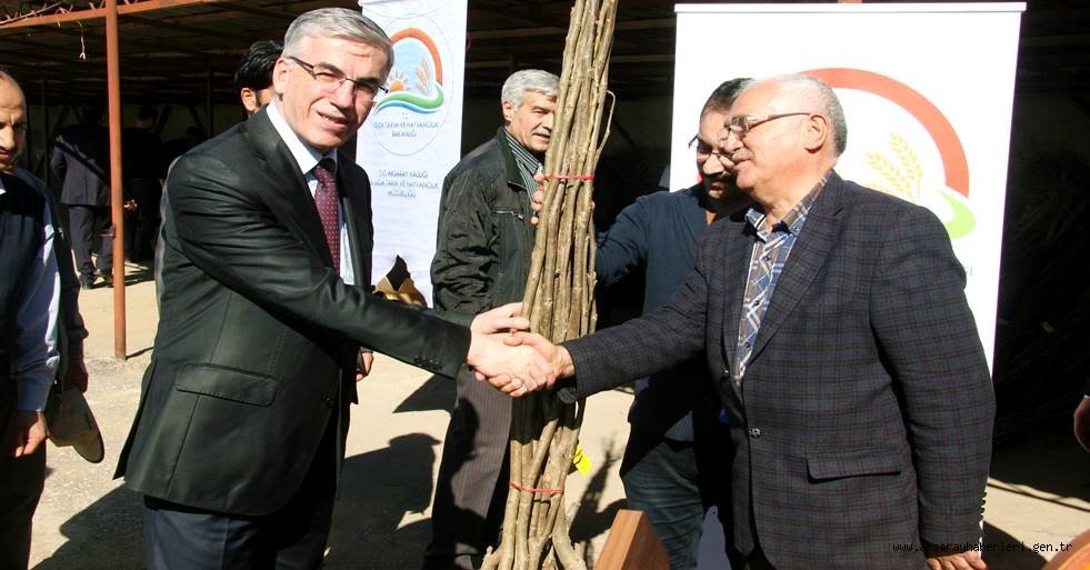 AKSARAY'DA ÇİFTÇİLERE 4 BİN 510 ADET MEYVE FİDANI DAĞITILDI