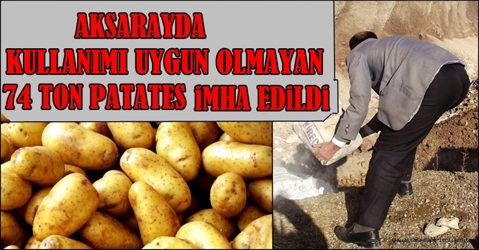 AKSARAYDA KULLANILMASI UYGUN OLMAYAN 74 TON PATATES İMHA EDİLDİ