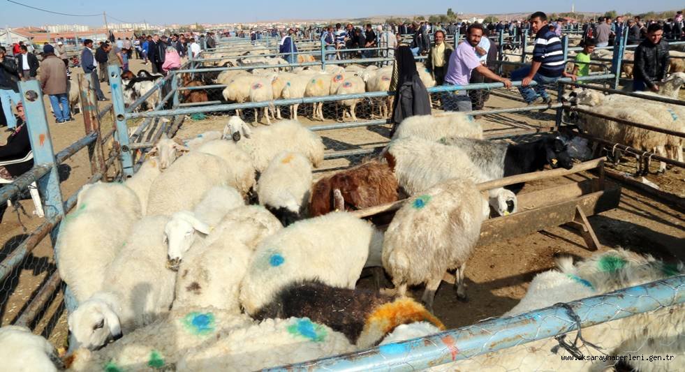 AKSARAY'DA KURBAN KESİM YERLERİ BELİRLENDİ