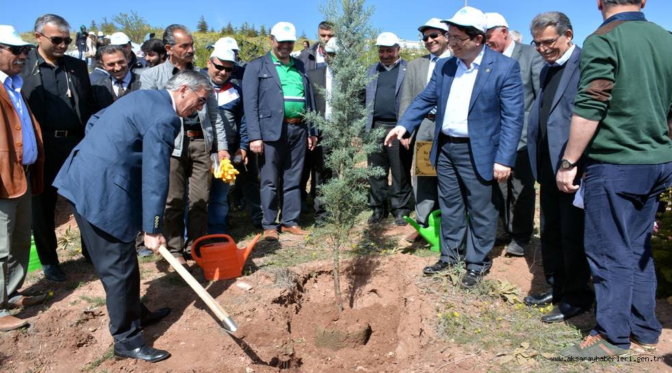 AKSARAY'DA NECİP FAZIL KISAKÜREK ADINA HATIRA ORMANI