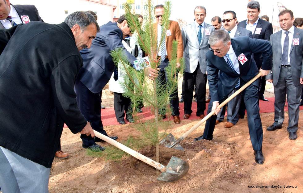 AKSARAYLI ŞEHİTLERİN ADINA ÇAM FİDANI DİKTİLER