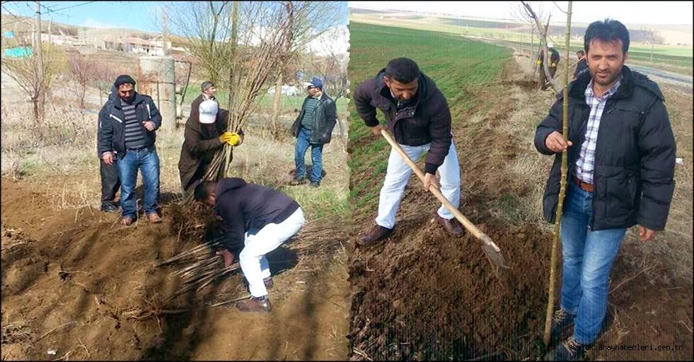 AKSARAYLI VATANDAŞTAN ÖRNEK DAVRANIŞ