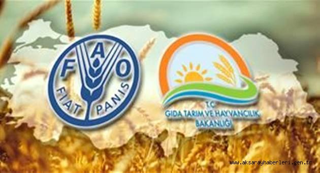 AO AVRUPA BÖLGESEL KONFERANSI ANTALYA’DA BAŞLIYOR