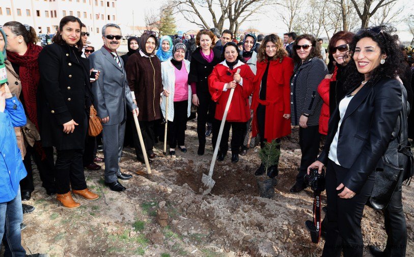 DAHA YEŞİL BİR AKSARAY İÇİN FİDANLAR TOPRAKLA BULUŞTU