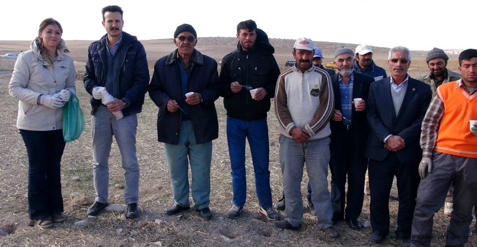 GÜLAĞAÇ ÇATALSU KÖYÜNDE TARLA FARESİ İLE MÜCADELE PROĞRAMI