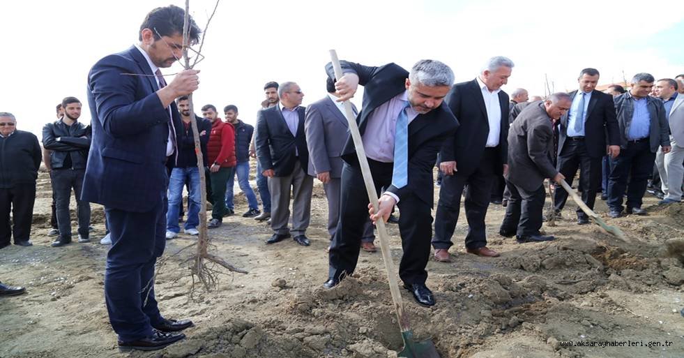 ORTAKÖY'DE 2 BİN FİDAN TOPRAKLA BULUŞTURULDU