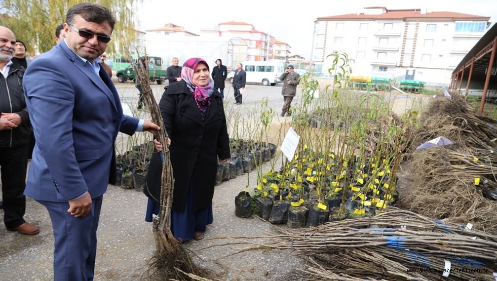 YEŞİL BİR AKSARAY İÇİN ÇİFTÇİLERİMİZE FİDAN DAĞITILDI